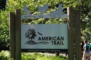 American Trail