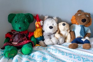 Mini Stuffed Animal Collection