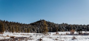 2019-03-31 09.29.05 2