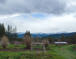 Ashland-Day-4.9-HDR-Edited